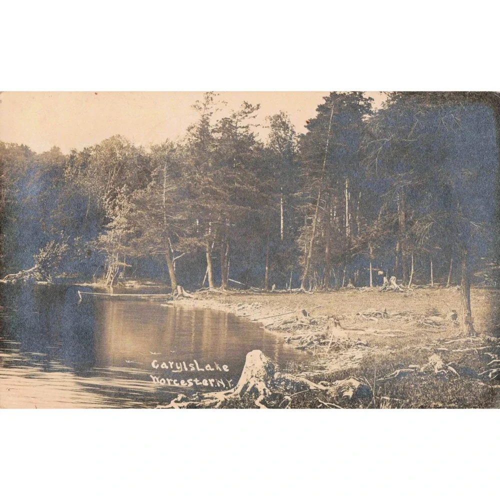 RPPC Caryls Lake Worcester New York NY Shore Landscape 1912 Real Photo Postcard